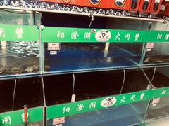 -阳澄湖大闸蟹·琼灵阁牌品牌连锁(吴中总店)