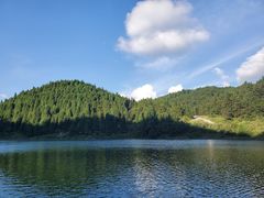 -武陵山森林公园