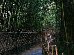 -竹子庵公园