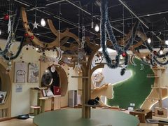 -猫和宫(六道口店)