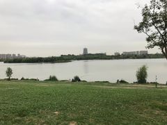 -灞河西岸滨河公园