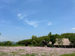 -良渚古城遗址公园