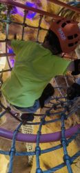 点击看大图 -探洞工场(丹尼斯7天地店)