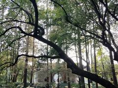 门面-山外山菜馆(玉泉路店)