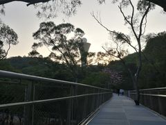 -狐尾山公园