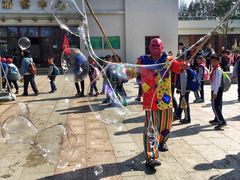 景点-上海长兴岛郊野公园