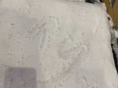 -世界之窗阿尔卑斯冰雪世界