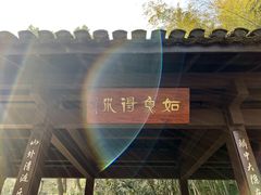 -山外山菜馆(玉泉路店)