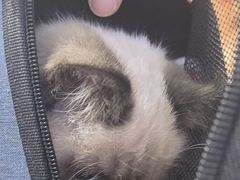 -恒幸动物医院·急重症转诊中心·神经内外科·CT核磁