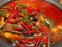 -探鱼·鲜青椒爽麻烤鱼(苏宁广场店)