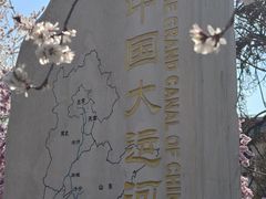 -桃花堤公园