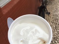 椰子雪糕-洪馨椰子