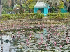 -汕头莲花山度假村温泉