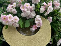 -迎晖路(地铁站)