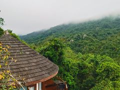 -三亚亚龙湾人间天堂鸟巢度假村