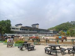 -深圳野生动物园