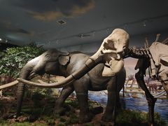 -湖南省地质博物馆