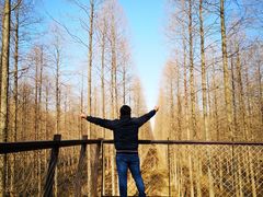 -黄海国家森林公园