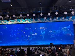 -烟台海昌鲸鲨海洋公园
