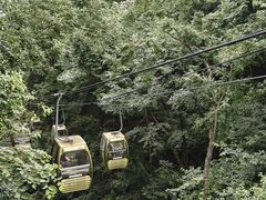 -黔灵山公园