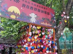 -西双版纳原始森林公园