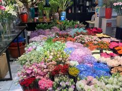 -双季花艺园艺市场(浦东店)