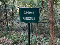 -紫金山山顶公园