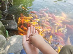 -成都川菜博物馆