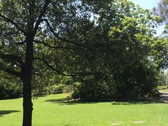 -墨尔本皇家植物园