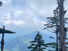 -瓦屋山景区