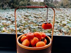 -木守西溪溪隐餐厅