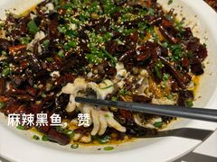 -三猫黑鱼花(南大店)