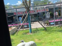 -阳坊胜利涮羊肉(阳坊老店)