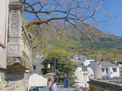 -塔川景区