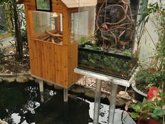 -上海大自然野生昆虫馆(东方明珠·爬宠昆虫探索中心)