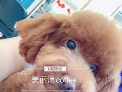 -创凡宠物医院·骨专科  猫科中心(西乡分院)