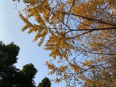 -重庆工商大学(南岸校区)