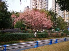 -赵元章肉骨烧(山塘街店)