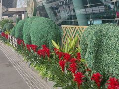 -南宁吴圩国际机场-T2航站楼