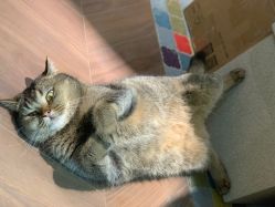 -优刻西服西装定制(金轮国际广场店)