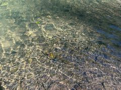 -志闽龙门漂流