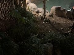 -张家港金凤凰度假村温泉