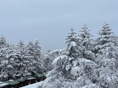 -峨眉山风景名胜区