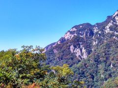 -王顺山国家森林公园
