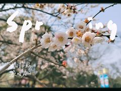 -无锡梅园公园