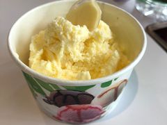 冰淇淋-蒙特利亲子乐园