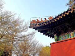 -厦门园林博览苑