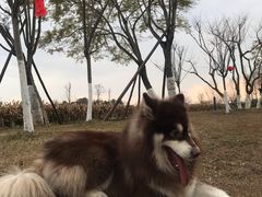 -白鹭湾湿地公园