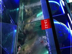 -鱼酷活鱼烤鱼(恒隆广场店)