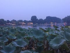 -甲丁坊